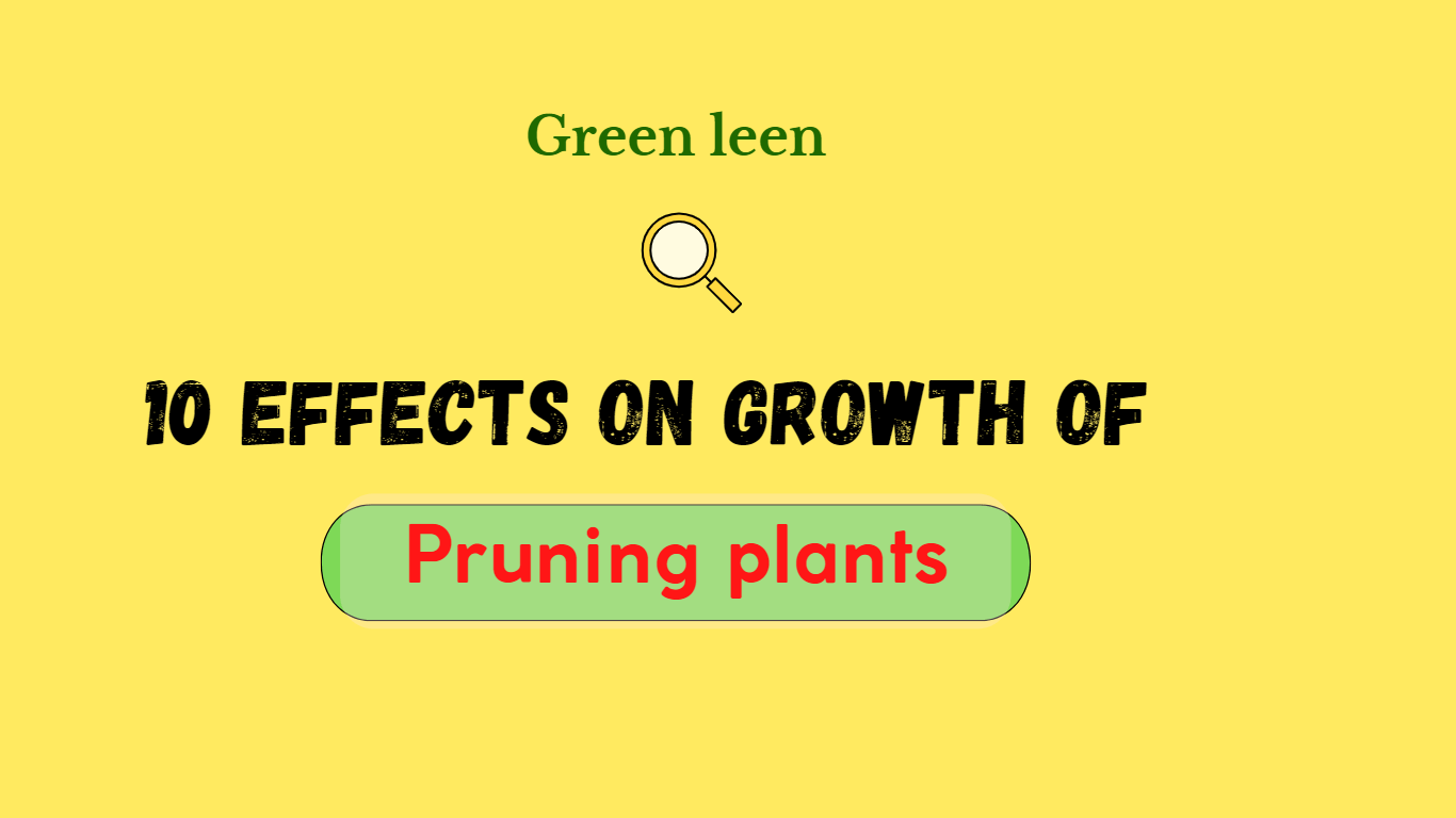 Read more about the article 10 Effects of Pruning Plants