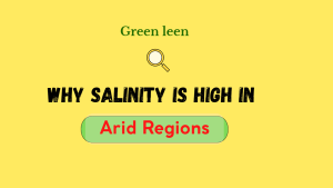 Read more about the article why salinity is high in arid and semi-arid regions?